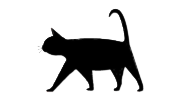 2-D still image of silhouette of a black cat